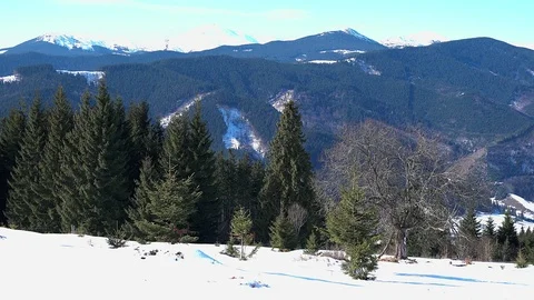 On the slopes of the winter mountains Stock Footage 101032117