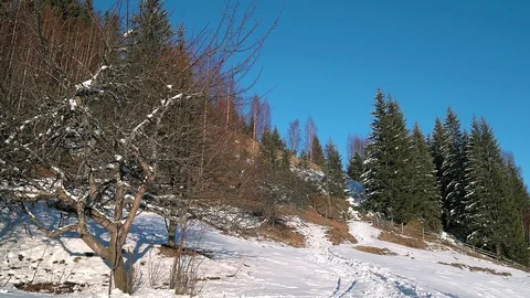 On the slopes of the winter mountains Stock Footage 102970159