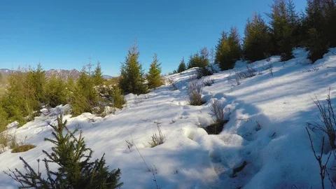 On the slopes of the winter mountains, footpath in the winter mountains, winter Stock Footage 109581617