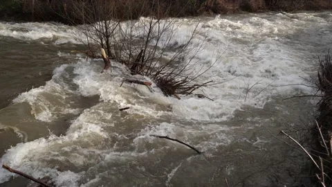 Sloping dirty river flows fast after heavy rain in autumn Stock Footage 227799549
