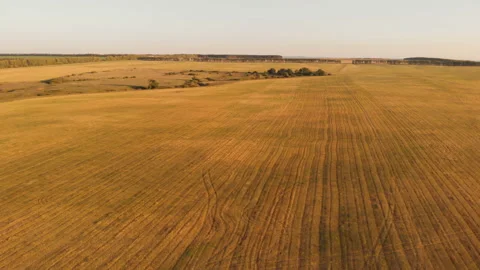 Sloping field Stock Footage 146977139