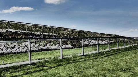 Sloping railings of a path that leads through a meadow and plants Stock Photos