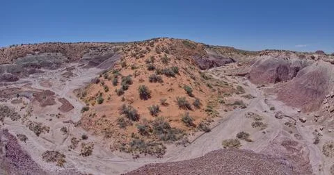 A sloping red sand dune above Hamilili Wash in Petrified Forest National Park, Fotos de archivo