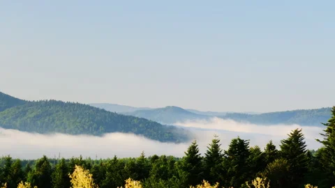 Slopy hills covered with pine forest stretch into distance Video stock 323877955