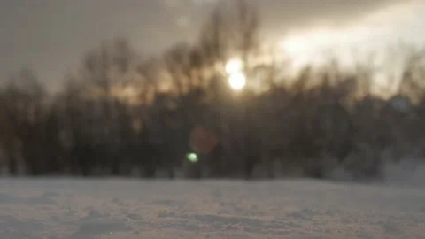 Сloseup snow in the forest Video stock 167148060