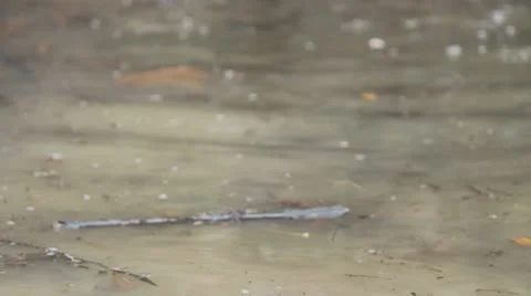 Sloshing through water 스톡 동영상 8990072