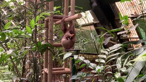 Slot 00 Video stock 282754954