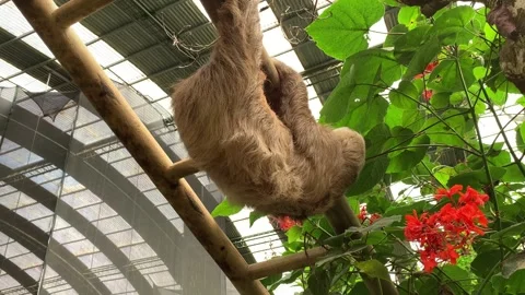 Slot 03 Video stock 282754959