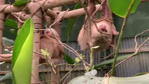 Slot 07 Video stock 282754951