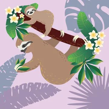 Sloth with baby and tropical leaves 스톡 일러스트