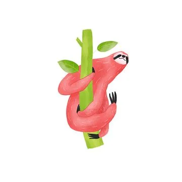 Sloth on green branch image with texture Stock Illustration