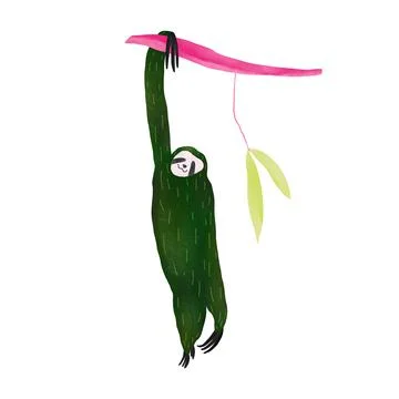 Sloth hanging on branch image Stock Illustration