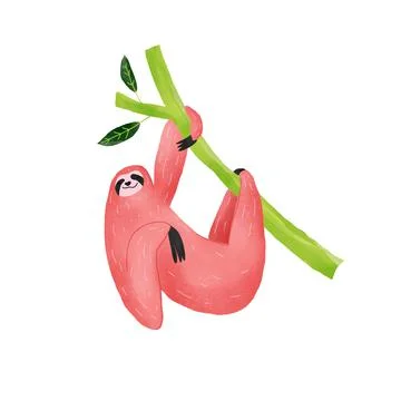 Sloth hanging on branch image with texture Illustrazione stock
