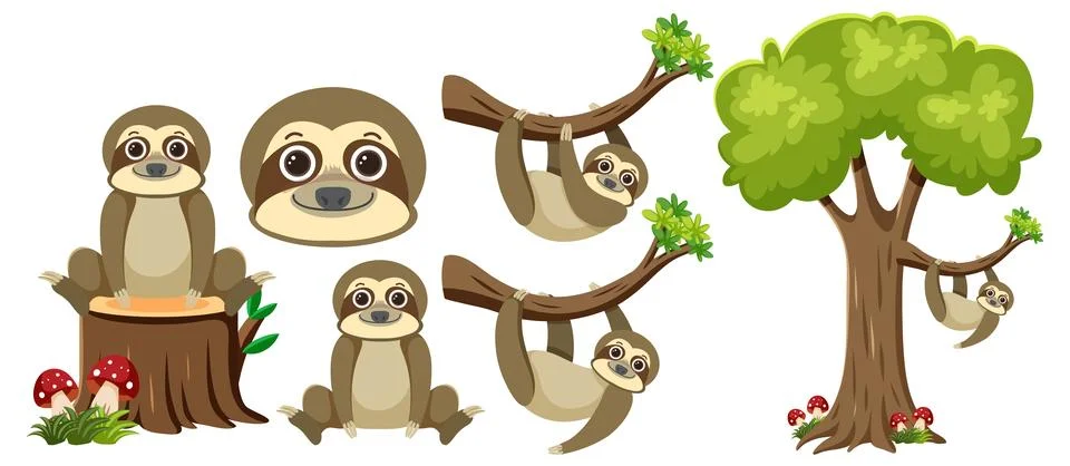 Sloth Hanging on Branch with Tree Elements Stock Illustration