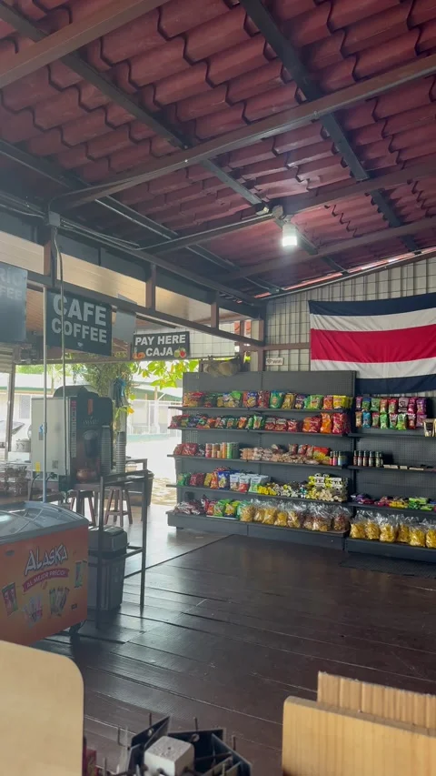 Sloth Hanging out at a Bodega, San Ramon, Costa Rica - 14 Apr 2026 Stock Footage 342070950