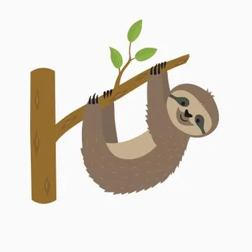 Sloth hanging on tree branch Stock Illustration