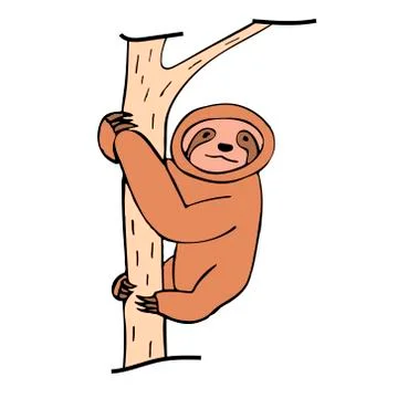 Sloth hanging on a tree. isolated vector illustration Stock Illustration