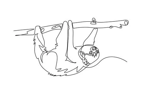 Sloth hanging upside down on tree branch. Tropical jungle fauna Ilustração Stock