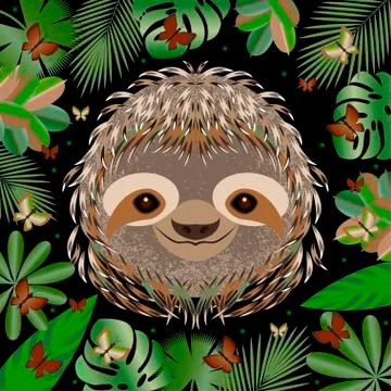 Sloth. Head, face, portrait. Gray fur. Cartoon style. Animal smiles. Frame of Stock Illustration