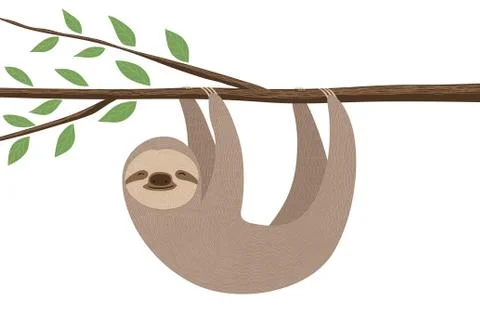 Sloth illustration Stock Illustration