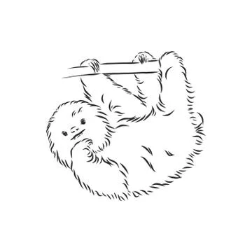 Sloth outline illustration, sloth, vector sketch illustration Stock Illustration