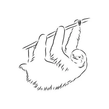 Sloth outline illustration, sloth, vector sketch illustration Stock Illustration