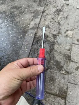 Slotted Screwdriver with Transparent Handle Foto stock