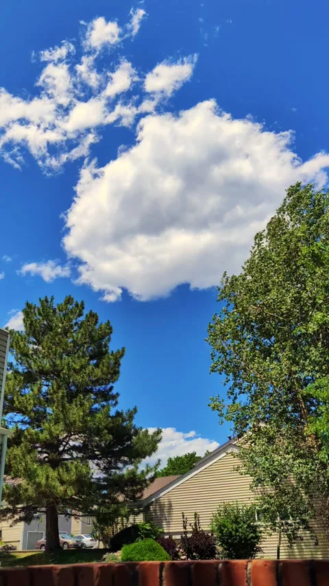 Сloud drifting timelapse over suburban neighborhood with leafy trees, rooft. Stock Footage 337901519