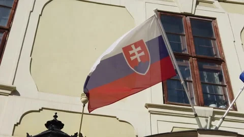 Slovak Flag Slow Motion Stock Footage 272572059