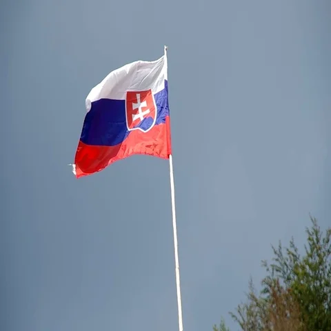 Slovak flag in the wind Stock Footage 69369894