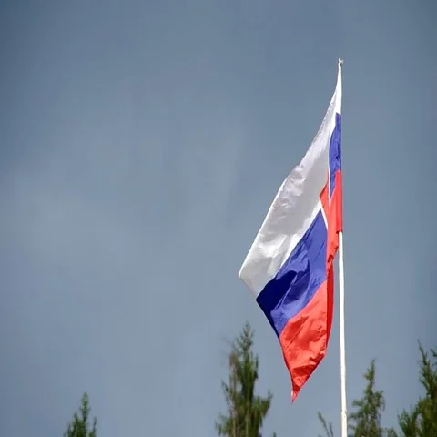 Slovak flag in the wind Stock Footage 69456646