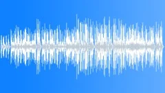 Slovak Polka (pizzicato) Stock Music