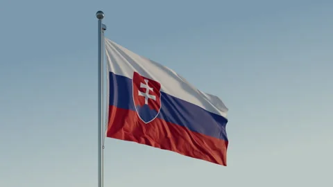 Slovakia Bratislava Flag loop Cinematic Realistic Waving Blue Sky 스톡 동영상 307684660