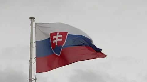 Slovakia flag in the wind Stock Footage 55950138