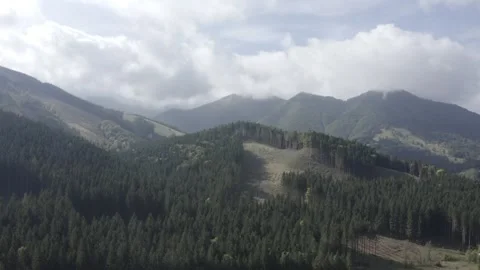 Slovakia nature Stockbeeldmateriaal 241297751