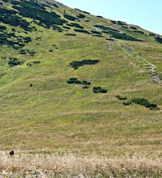 Slovakia Stock Photos