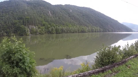 Slovakia from the train window, river, mountains 動画素材 115990915