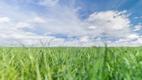 SLOVENIA - 4/1/2018: Dancing clouds over fields Video stock 88048349