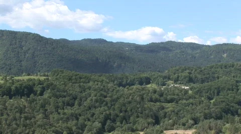 Slovenia forest Stock Footage 845501