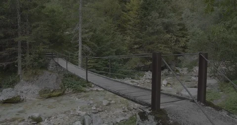 Slovenia Triglav National Park Bridge Ungraded Stock Footage