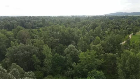 Slovenian Valley in Summer time Stock Footage 172136398