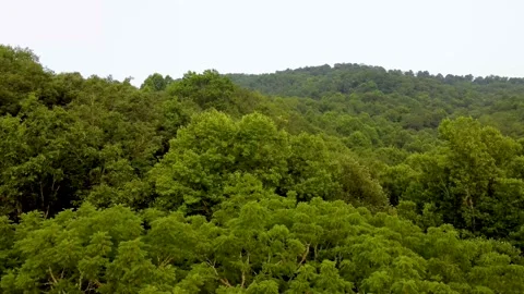 Slow aerial descent down into mountain forest on an overcast day Stock Footage 158942438