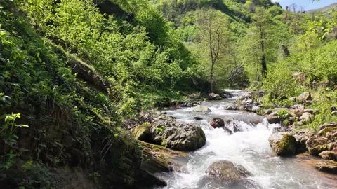 Slow Aerial Drift Over Crystal Clear Stream Through Lush Green Paradise Land Stock-Footage 337635112