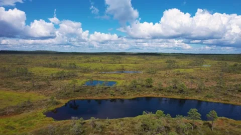 Slow aerial drone flight over marshland in Estonia Stock Footage 257132640