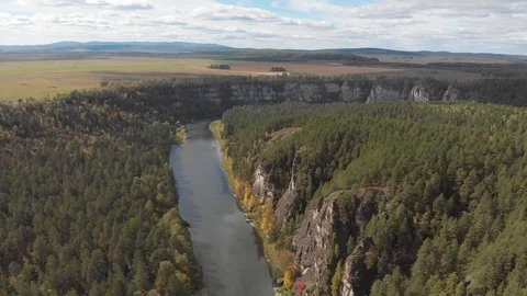 Slow aerial flight backwards over a gentle mountain river, pine forest. Ay river Video stock 101617480