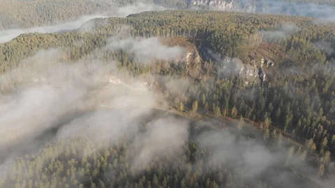 Slow aerial flight backwards over a gentle mountain river, pine forest, clouds. Video stock 101626832