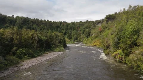 Slow Aerial Flight Between Trees Over Mountain River Mouth in Lenca Chile Video stock 325245610
