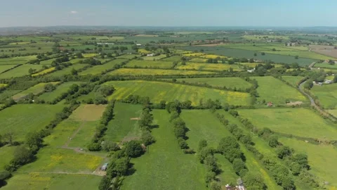 A slow aerial flight over the patchwork of fields in Wiltshire UK Video stock 196898570