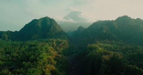 Slow aerial forward flight towards dense jungle with green hills and Vidéo 221212106