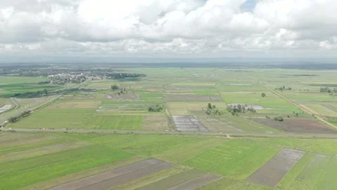 Slow aerial over vast patchwork of rice paddies, Kenya Stock Footage 347499701